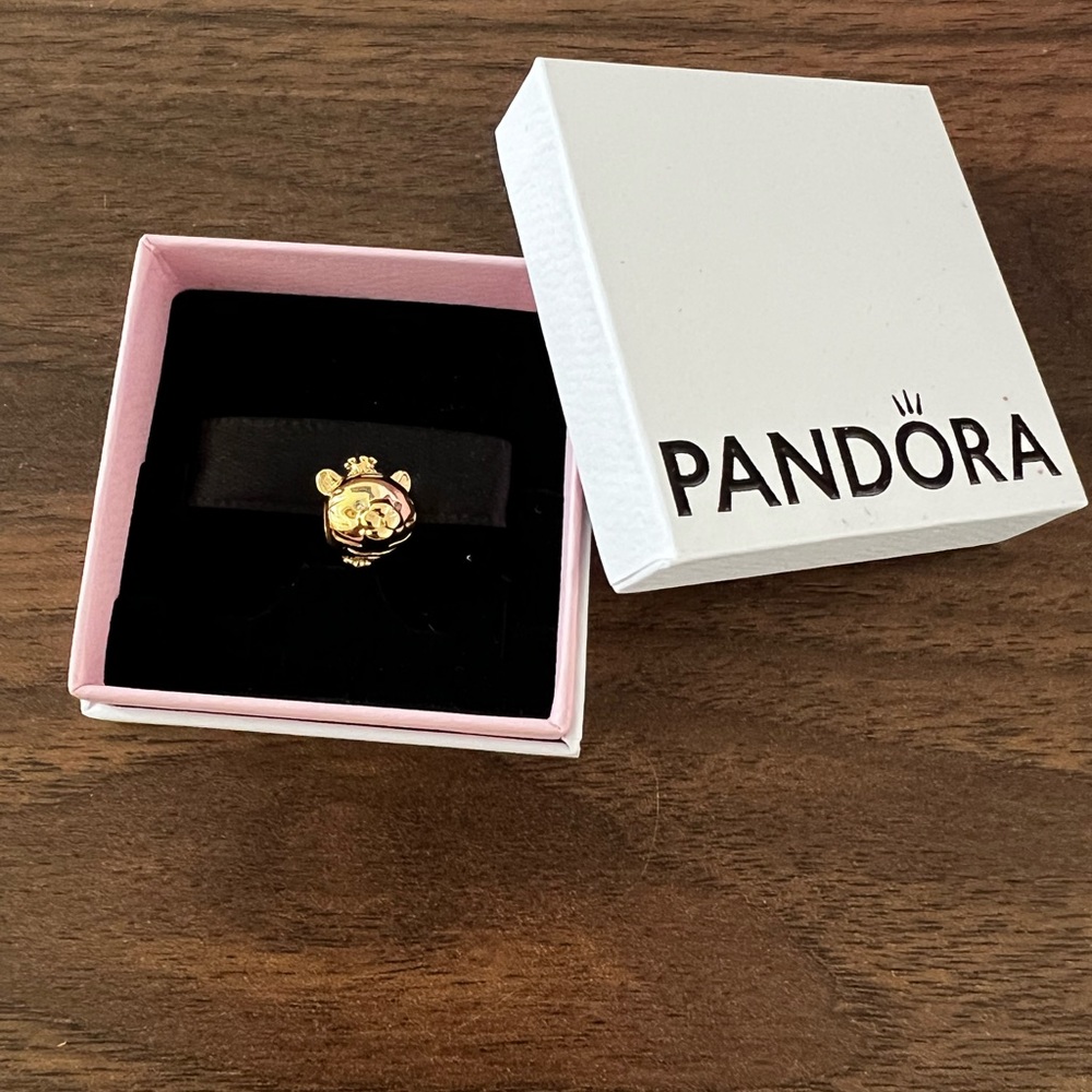 Pandora Charm